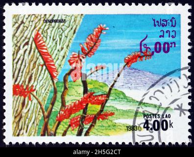 LAOS - VERS 1983 : un timbre imprimé au Laos montre dendrobium, un genre d'orchidées principalement épiphytiques et lithophytes, vers 1983 Banque D'Images