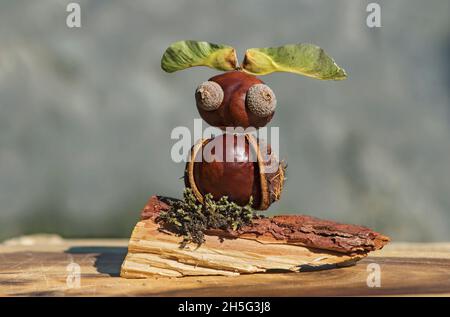 Hibou, drôle d'animal figure faite de châtaignes et de chêne acorns en automne, Suisse Banque D'Images