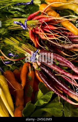 Lots de carottes multicolores en vente sur un marché agricole à Summit, NJ, Etats-Unis. Banque D'Images