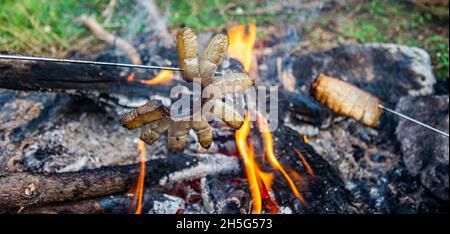 bacon rôti sur feu de camp dans le jardin. Banque D'Images