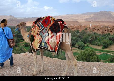 La palmeraie de Tinghir au coeur de la vallée de Todgha Banque D'Images