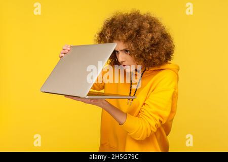 Curieuse femme à la coiffure afro se blottant dans un ordinateur portable à demi-ouverture et exprimant son étonnement, en espionnant le contenu interdit, en portant un pull à capuche décontracté.Studio d'intérieur isolé sur fond jaune. Banque D'Images