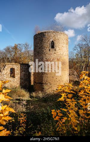 Ruines du château de Valdek en Bohême centrale, Brdy, République tchèque. Il a été construit au XIIIe siècle par la famille aristocratique.il y a maintenant une zone d'entraînement militaire Banque D'Images