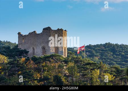 Mödling: Château de Mödling, Naturpark Föhrenberge (Parc naturel de Föhrenberge), arbres PIN autrichien (pin noir, Pinus nigra) à Wienerwald, Bois de Vienne, Banque D'Images