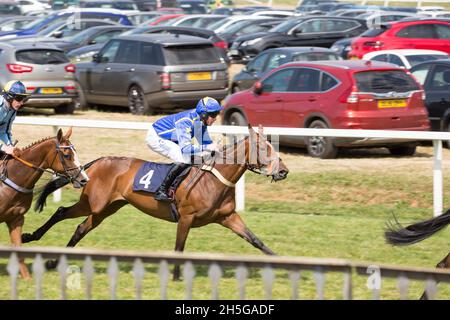 Vue latérale de jockey mâle à cheval de course en action à l'hippodrome de Worcester, Royaume-Uni, connu localement sous le nom de Pitchcroft. Banque D'Images