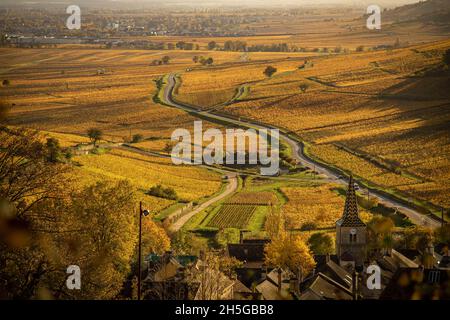 Vue sur le vignoble depuis l'Oratoire de notre Damme depuis Pernand-Vergelesses, en Bourgogne, France Banque D'Images