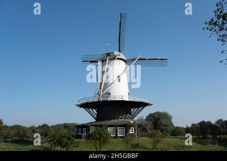 Moulin à vent la vache (de koe) dans la petite ville de Veere sur Walcheren aux pays-Bas Banque D'Images