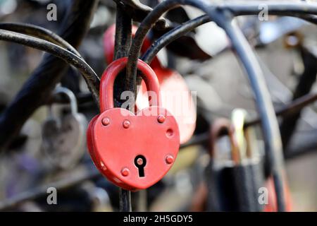 Cadenas en forme de coeur.Serrures accrochées dans un parc, symbole de l'amour éternel Banque D'Images