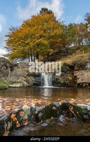 L'eau s'écoule dans une piscine à trois Shires Head à l'automne où se rencontrent les comtés de Staffordshire, Cheshire et Derbyshire. Banque D'Images