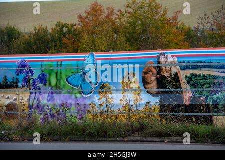 Amersham, Buckinghamshire, Royaume-Uni.9 novembre 2021.Des tableaux d'étage à l'extérieur de l'enceinte de ventilation Amersham HS2 montrant la faune locale et pourtant HS2 sont le câblage sur les terriers de blaireau et détruisent les habitats de la faune dans les Chilterns qui est une zone de beauté naturelle exceptionnelle.Crédit : Maureen McLean/Alay Live News Banque D'Images