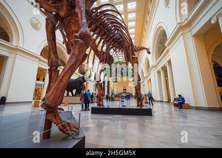 Vue sur l'impressionnant squelette fossile d'un Titanosaur, l'un des plus grands animaux jamais vécus, au Field Natural History Museum à Chicago, Illinois, États-Unis Banque D'Images