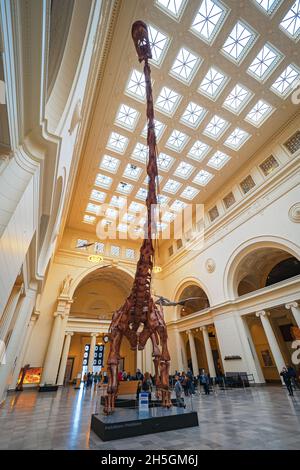 Vue sur l'impressionnant squelette fossile d'un Titanosaur, l'un des plus grands animaux jamais vécus, au Field Natural History Museum à Chicago, Illinois, États-Unis Banque D'Images