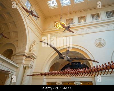 Reconstitutions grandeur nature de Quetzalcoatlus et de Rhamphorhynchus au Stanley Field Hall, le Field Natural History Museum de Chicago, Illinois, États-Unis Banque D'Images