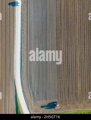 Vue aérienne d'un tracteur travaillant dans un champ agricole au coucher du soleil près d'Aquileia, Udine, Friuli Venezia Giulia, Italie. Banque D'Images