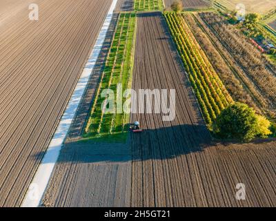 Vue aérienne d'un tracteur travaillant dans un champ agricole au coucher du soleil près d'Aquileia, Udine, Friuli Venezia Giulia, Italie. Banque D'Images