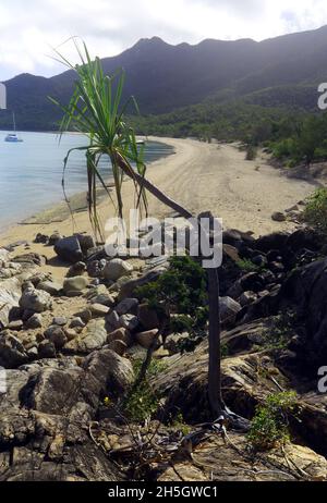 Vue sur la plage de Bona Bay, le parc national de Gloucester Island, les îles Whitsunday, près de Bowen, Queensland, Australie. Banque D'Images