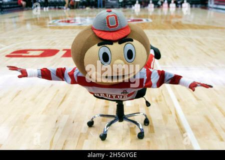 Columbus, Ohio, États-Unis.9 novembre 2021.Brutus le Buckeye joue avant que l'État de l'Ohio ne joue à Akron dans leur jeu à Columbus, Ohio.Crédit : csm/Alay Live News Banque D'Images