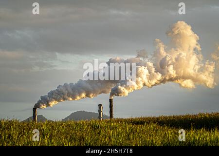 Vapeur en provenance des piles de sucreries, nord du Queensland, Australie Banque D'Images