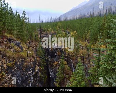 Belle vue sur les gorges populaires Marble Canyon dans le parc national Kootenay, les montagnes Rocheuses, Colombie-Britannique, Canada en automne avec ravin profond. Banque D'Images