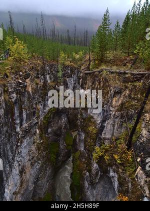 Vue imprenable sur le ravin profond de la gorge Marble Canyon, parc national Kootenay, Colombie-Britannique, Canada par jour nuageux en automne avec forêt. Banque D'Images