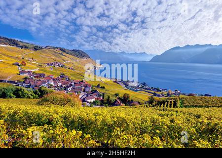 Vue sur le village de Riex avec vignobles d'automne, vue sur Lavaux et le lac Léman, site classé au patrimoine mondial de l'UNESCO, Canton de Vaud, Suisse Banque D'Images