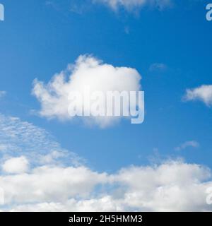 Mouton.Voile et nuages (cumulus) ornent le ciel bleu dans des vents forts Banque D'Images
