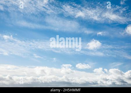 Mouton.Voile et nuages (cumulus) ornent le ciel bleu dans des vents forts Banque D'Images