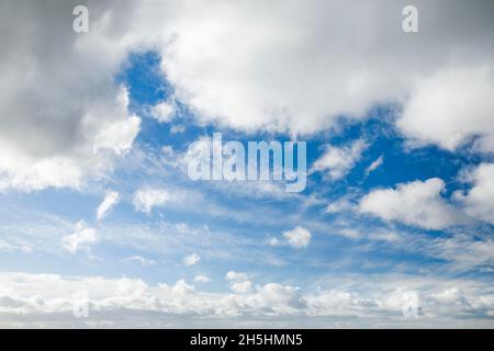 Mouton.Voile et nuages (cumulus) ornent le ciel bleu dans des vents forts Banque D'Images