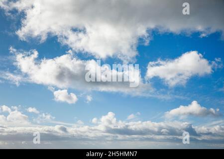 Mouton.Voile et nuages (cumulus) ornent le ciel bleu dans des vents forts Banque D'Images