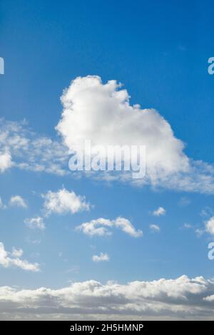 Mouton.Voile et nuages (cumulus) ornent le ciel bleu dans des vents forts Banque D'Images