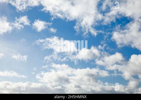 Mouton.Voile et nuages (cumulus) ornent le ciel bleu dans des vents forts Banque D'Images