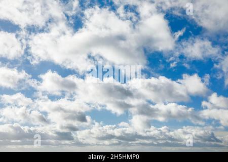 Mouton.Voile et nuages (cumulus) ornent le ciel bleu dans des vents forts Banque D'Images