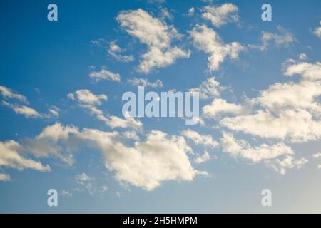 Des nuages fleurés ornent le ciel bleu de la soirée Banque D'Images