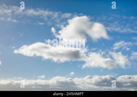 Mouton.Voile et nuages (cumulus) ornent le ciel bleu dans des vents forts Banque D'Images