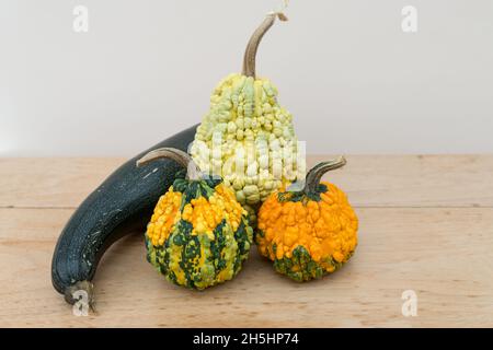 gros plan de courge de forme inhabituelle. courge et courge butternut aux couleurs vives et singuliers, sur une table dans la cuisine en automne Banque D'Images