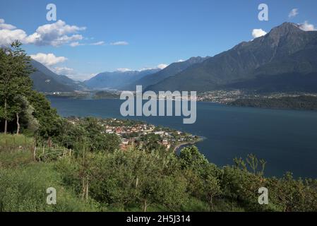 Soleil en fin d'après-midi au-dessus d'une plantation de pommes sur les collines autour du lac de Côme, en Italie Banque D'Images