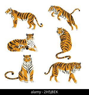 Ensemble plat de tigres mignons dans différentes poses isolé sur fond blanc illustration vectorielle Banque D'Images