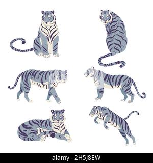 Ensemble plat de tigres mignons dans différentes poses isolé sur fond blanc illustration vectorielle Banque D'Images