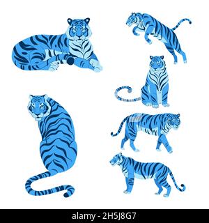 Ensemble plat de tigres mignons dans différentes poses isolé sur fond blanc illustration vectorielle Banque D'Images