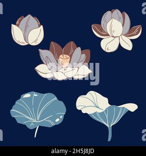 Ensemble vectoriel de fleurs et de feuilles de lotus dessinées à la main.Collection de botanique à motif fleuri en couleurs Banque D'Images