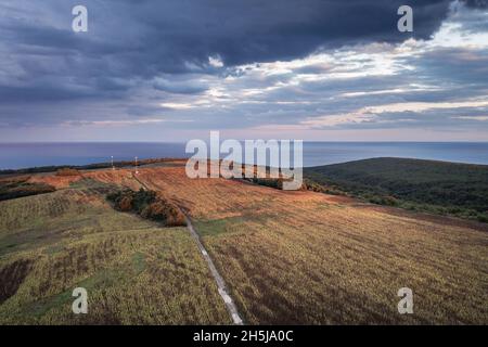 Photo aérienne par drone des champs de tournesols dans la province de Burgas en Bulgarie Banque D'Images