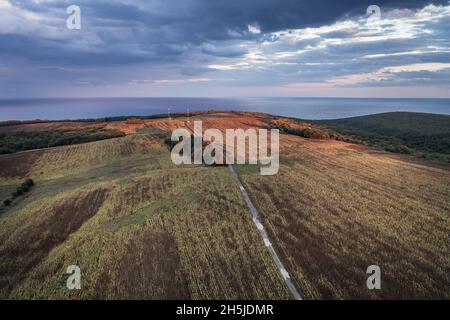 Photo aérienne par drone des champs de tournesols dans la province de Burgas en Bulgarie Banque D'Images