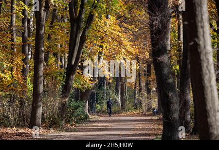 Berlin, Allemagne.10 novembre 2021.Un cycliste traverse le Tiergarten d'automne.Credit: Bernd von Jutrczenka/dpa/Alamy Live News Banque D'Images