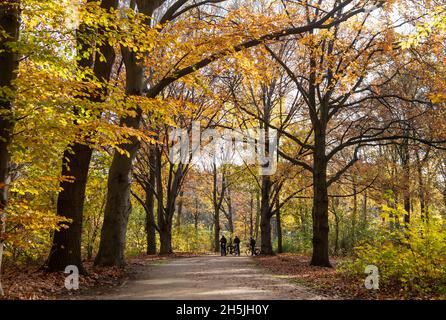 Berlin, Allemagne.10 novembre 2021.Les cyclistes se tiennent dans le Tiergarten d'automne.Credit: Bernd von Jutrczenka/dpa/Alamy Live News Banque D'Images