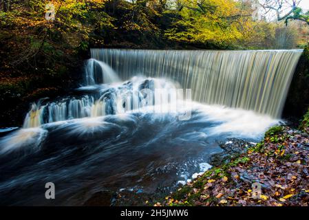 Lochwinnoch, Écosse, le 10 novembre 2021 chute d'eau de Calder Mill sur la rivière Calder à Lochwinnoch.Crédit: Chris McNulty/Alay Live News Banque D'Images