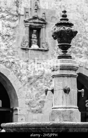 Photo verticale en niveaux de gris d'une fontaine avec une Sainte Maria floue en arrière-plan Banque D'Images