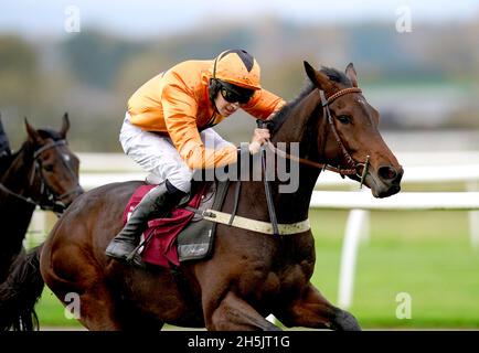 Saint Segal, monté par le jockey Chester Williams sur le chemin de gagner les dix à suivre à l'obstacle tote.co.uk Juvenile Maiden à l'hippodrome de Bangor-on-Dee.Date de la photo: Mercredi 10 novembre 2021. Banque D'Images