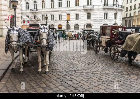 Vienne, Autriche - 16 janvier 2020 : calèche avec des chevaux en train de visiter le centre de Vienne, Autriche. Banque D'Images