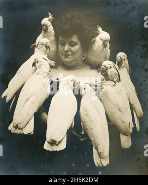 Rosa Naynon posant avec huit de ses cafards entraînés.Rosa et ses oiseaux se sont produit dans un acte de vaudeville au Coliseum, à Seattle, en octobre 1907. Banque D'Images