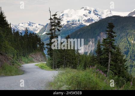 Coast Mountains, British Columbia, Canada Banque D'Images